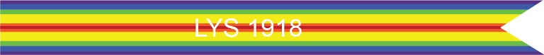 Lys 1918 U.S. Army Campaign Streamer